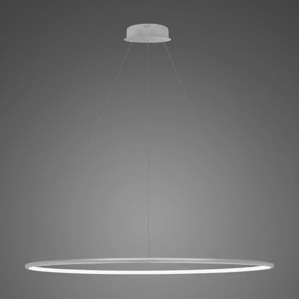 Pendant Lamp Led Ring No.1 Φ120 cm in 3k silver Altavola Design