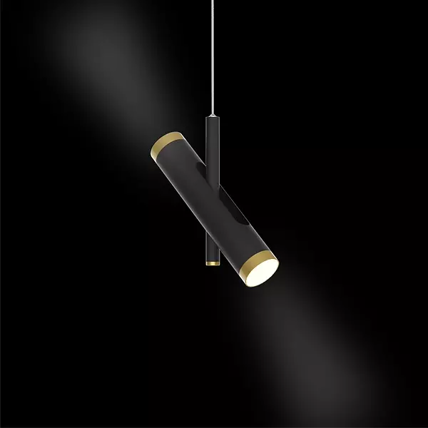 Pendant lamp LUNETTE No. 1 P  black Altavola Design
