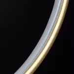 Pendant Lamp Led Ring No.1 X Φ100 cm in 3k gold Altavola Design
