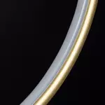 Pendant Lamp Led Ring No.1 in 3k gold dimmable Altavola Design