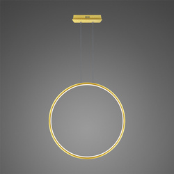 Pendelleuchte Led Ring No.1 X 80cm 3k golden