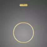 Pendelleuchte Led Ring No.1 X 80cm 3k golden