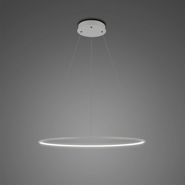Pendant Lamp Led Ring No.1 40 cm in 4k silver dali
