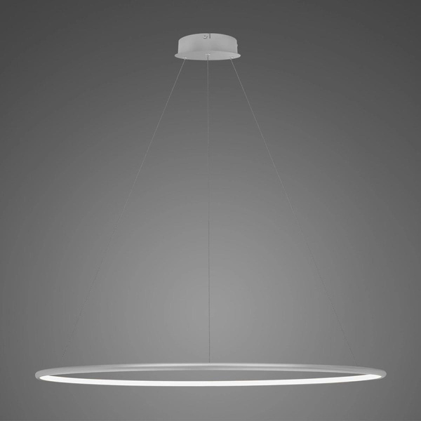 Pendant Lamp Led Ring No.1 120 cm in 4k silver dali
