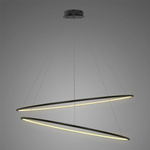Pendelleuchte Led Ring No.2 120 cm 3k schwarz Dali