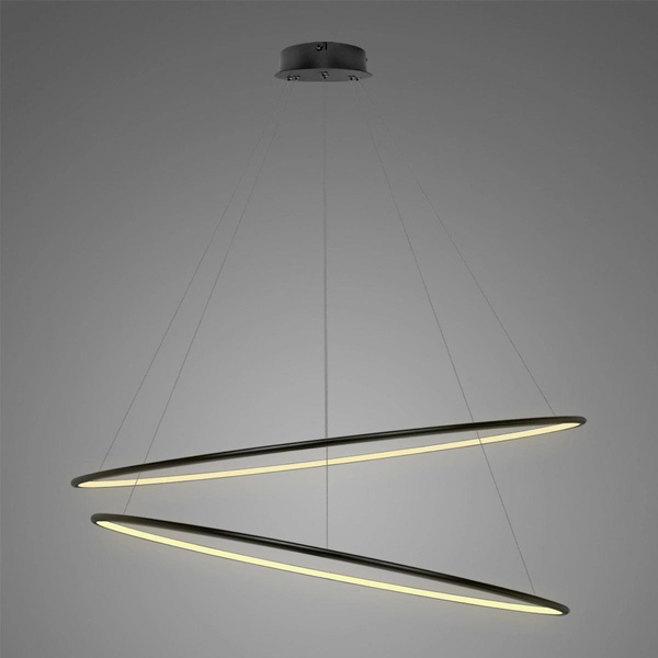 Pendelleuchte Led Ring No.2 120 cm 3k schwarz Dali