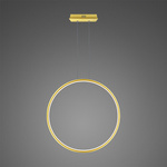 Pendelleuchte Led Ring No.1 X 80cm 3k golden
